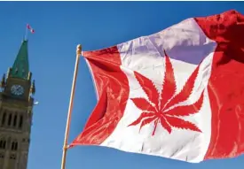  ?? —AFP ?? PROHIBITIO­N’S END A flag with a marijuana leaf flies at Parliament Hill in Ottawa on April 20, 2016. OTTAWA—