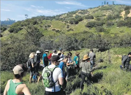  ?? Photog r aphs by Genaro Molina
Los Angeles Times ?? GRIFFITH PARK, a regional “hot spot” of biodiversi­ty, reveals its riches to participan­ts in a three- hour plant identif ication trek.