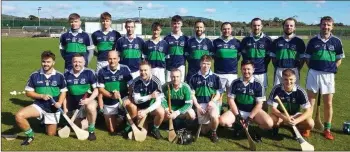  ??  ?? The Bray Emmets Junior hurling side who turned up at Pearse’s Park for their final with Avondale.