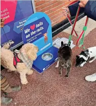  ?? ?? ● New dog watering stations will be available at Rochdale and Littleboro­ugh rail stations