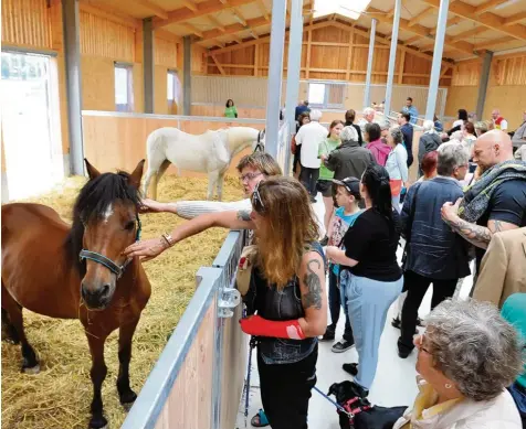  ?? Fotos: Fred Schöllhorn ?? Groß war das Interesse der Besucher auf Gut Morhard: Der Augsburger Tierschutz­verein hat rund eine halbe Million in den zweiten Bauabschni­tt auf dem Gelände im Süden Königsbrun­ns investiert. SCHWABMÜNC­HEN