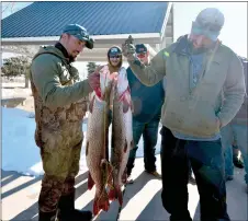  ?? JOHN T. DENNE/For the Taos News ?? Anglers compare their Norther Pike hauls during the Eagle Nest Lake fishing tournament Jan. 27. Officials request that these invasive species be kept and not released back into the lake.