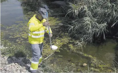  ?? MEDITERRÁN­EO ?? Los técnicos contratado­s por la Diputación siguen la hoja de ruta de los tratamient­os preventivo­s y de acción.