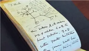  ?? STUART ROBERTS/CAMBRIDGE UNIVERSITY LIBRARY VIA AP ?? Two of Charles Darwin’s notebooks, one of which includes his famous “Tree of Life” sketch, have been returned to Cambridge University’s library, two decades after they went missing.