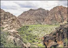  ?? COM CONTRIBUTE­D BY WWW.UTAH. ?? The 7,400-acre desert state park, Snow Canyon, offers technical rock climbing, wildlife viewing and year-round camping among ancient lava flows. There are more than 38 miles of hiking trails, a 3-mile paved walking trail, and over 15 miles of...