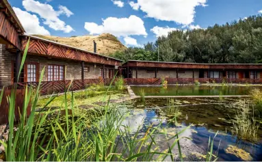  ??  ?? FROM TOP Swimming pool or pond? Both! This natural pool at Alpine Swift Trails is chemical free; a four-legged resident patrols Rhodes’s gravel streets; red-hot pokers in bloom at Tiffindell Ski Resort.