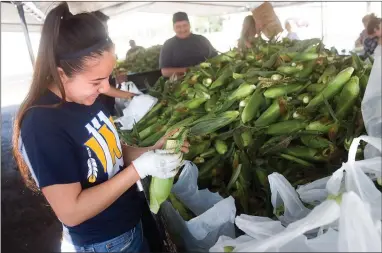  ?? RECORDER PHOTOS BY CHIEKO HARA ?? Irene Andrade, 15, checks an ear of corn before bagging it Tuesday, June 12 at Gisler’s sweet corn stand on the corner of Olive and Newcomb. Below: Balancing it all with her cheek, Karen Fleming carries away corn and other vegetables Tuesday, June 12, from Gisler’s sweet corn stand. The stand will run until about a week after the fourth of July.