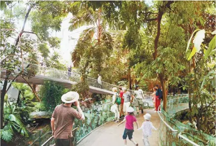  ?? BIODÔME ?? Une nouvelle passerelle permettra de rejoindre la mezzanine, d’où les visiteurs auront un nouveau point de vue qui leur permettra d’observer de plus près les animaux qui habitent la canopée.