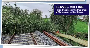  ?? ?? LEAVES ON LINE
Fallen trees block the train track at Monasterev­in, Co. Kildare