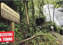  ?? Archivo ?? Las reservacio­nes para visitar El Yunque se pueden hacer a través del portal recreation.gov.