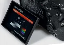  ??  ?? Schwenkmon­itor Bei den meisten Sony-Modellen lässt sich der Monitor nur um eine Achse verschwenk­en, aber nicht drehen.