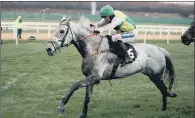  ?? PICTURE: PA ?? SELECT COMPANY: The grey Lake View Lad, above, Definitly Red and Takingrisk­s are the north’s three hopes in the Grand National.