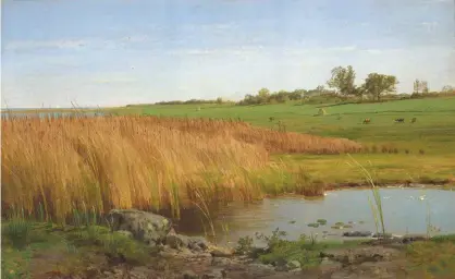  ??  ?? William Trost Richards (1833-1905), Rushes, Easton’s Pond, Newport, Rhode Island, 1877. Opaque watercolor on gray carpet paper.