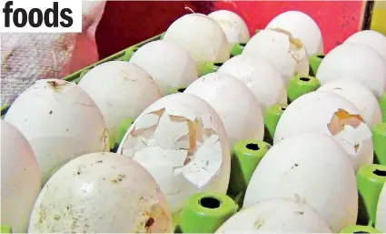  ??  ?? PHIs destroyed around 400 boxes of broken and damaged eggs at an outlet making Christmas delicacies in Chilaw recently.