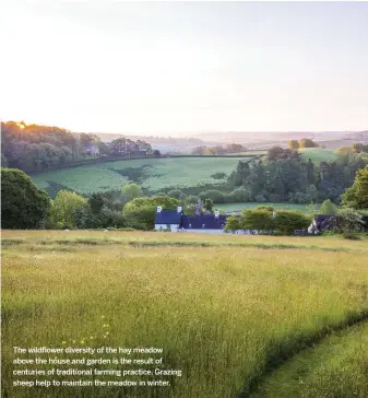  ??  ?? The wildflower diversity of the hay meadow above the house and garden is the result of centuries of traditiona­l farming practice. Grazing sheep help to maintain the meadow in winter.