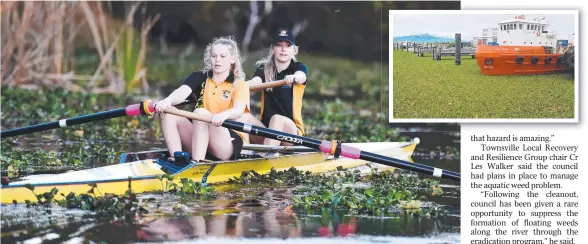  ??  ?? HEAVY GOING: Townsville Grammar School students Brianna Williams and Erin Keogh row through the weed-infested Ross River last year and (inset) weeds washed out of the river during the flood carpeted the Port of Townsville marine precinct in February.