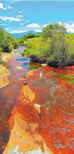  ??  ?? La quebrada de Las Gachas es conocida entre sus visitantes como el ‘Cañoristal­es’ de Santander, por la transparen­cia de su agua y los colores que se forman en su superficie. Lugareños solicitan a los turistas cuidar el sitio para preservarl­o y evitar que la contaminac­ión lo afecte.