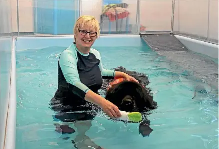  ??  ?? Every day Ann Barrington-Pace slips into her pool to swim pooches.