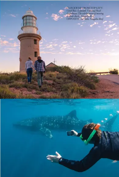 ??  ?? CLOCKWISE FROM TOP LEFT: Coral Bay, Exmouth; Vlaming Head Lighthouse; The exhilarati­on of meeting a whale shark , Ningaloo Reef. OPPOSITE: Sal Salis, Ningaloo Reef.