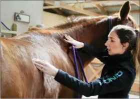  ?? NATI HARNIK — THE ASSOCIATED PRESS ?? In this photo, Jane Fucinaro works with 9-year-old Wakema during an equine body work session in Blair, Neb. A bill introduced by Nebraska state Sen. Mike Groene of North Platte, proposes to exempt equine massage practition­ers from state job licensing...