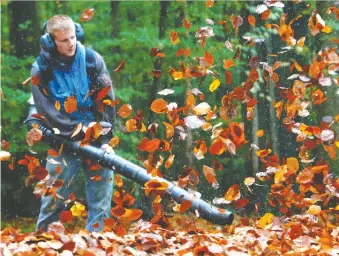  ?? FRANCOIS LENOIR/REUTERS ?? The most egregious of neighbourh­ood noise polluters is the gas-powered leaf blower, leading many municipali­ties to ban the belching beasts.