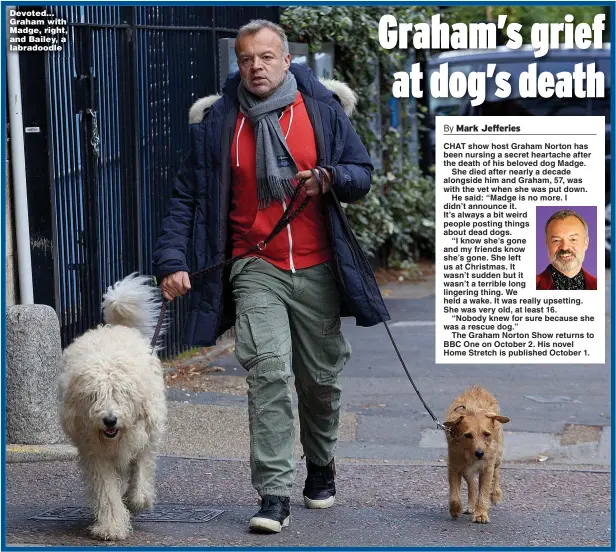  ??  ?? Devoted... Graham with Madge, right, and Bailey, a labradoodl­e