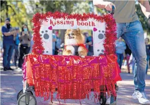  ?? PATRICK CONNOLLY/ORLANDO SENTINEL ?? A furry costume contest participan­t sits in a kissing booth during Paws in the Park in 2020.