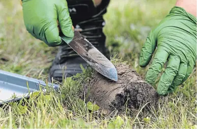  ?? CLIFFORD SKARSTEDT EXAMINER FILE PHOTO ?? Environmen­tal program officer Kate Peters of Canadian Nuclear Safety Commission takes soil samples on the property of Prince of Wales Public School near BWXT Nuclear Energy Canada on Monaghan Road on July 21.