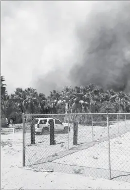  ?? LOANED PHOTO/RURAL/METRO FIRE DEPARTMENT ?? RURAL METRO FIREFIGHTE­RS BATTLED A FIRE AT A DATE TREE ORCHARD at South Avenue A 1/2 and County 18th Street that began shortly before 10 a.m. on Wednesday. The fire burned an estimated quarter of a mile strip worth of trees.