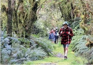  ?? NEIL RATLEY / STUFF ?? According to Stats NZ, Kiwis spent $6.5b on overseas holidays and business travel last year. Tourism New Zealand is aiming to get them to spend at least some of that money here.