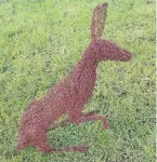  ?? ?? Red Hare by Melissa Swan.