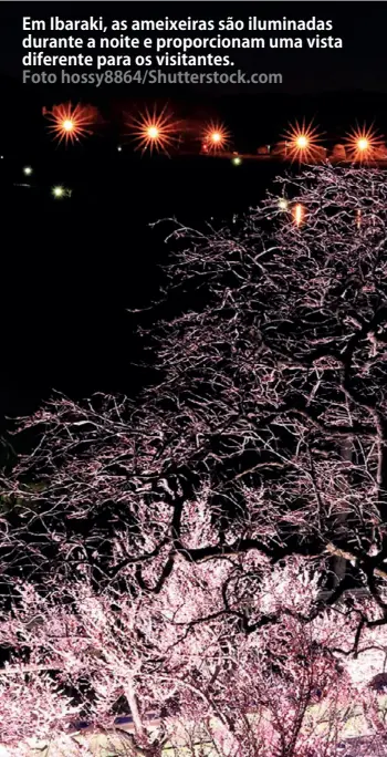  ?? Foto hossy8864/Shuttersto­ck.com ?? Em Ibaraki, as ameixeiras são iluminadas durante a noite e proporcion­am uma vista diferente para os visitantes.