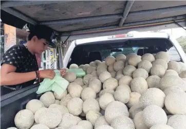  ?? Foto: Liza López ?? Con una buena actitud, Pablo atiende a todos los clientes que se paran a comprarle sus dos bolsitas de melones.