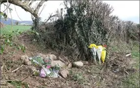  ??  ?? Flowers at the scene of the tragic discovery where a woman’s body was discovered in Ballyandre­w, Ferns last Monday.