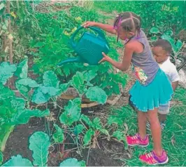  ?? WOODLAWN GARDEN COMMITTEE PHOTO PROVIDED BY 65TH & ?? Martha Itulya- Omollo and her children help tend one ofWoodlawn’s community gardens. The First Presbyteri­an Church, which owns the land for the 65th& Woodlawn and Kumunda gardens, may close the community plots.