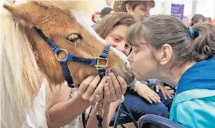  ?? RED HUBER/STAFF PHOTOGRAPH­ER ?? Jackie, right, kisses the nose of Shelton as his handler, Susan Nastasi of Soul Haven Ranch, holds the 2-year-old miniature horse during a visit Thursday to the Russell Home for Atypical Children in Orlando.