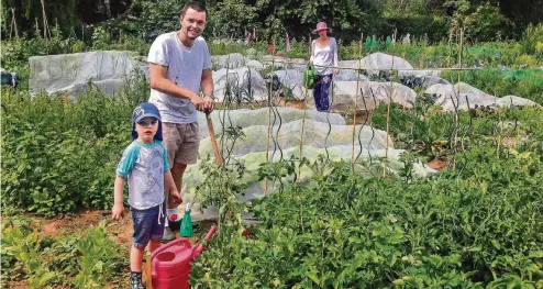  ??  ?? Aleksandar, Nicholas und Sandra Winzer haben in Niederkass­el ihr eigenes grünes Reich angemietet.