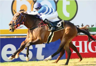  ?? Picture: JC Photograph­ics ?? IN FORM. Puget Sound is the best handicappe­d fit runner in Race 6 at Turffontei­n tomorrow and could be the answer to a tricky Pinnacle Stakes over 1800m on the Inside track.