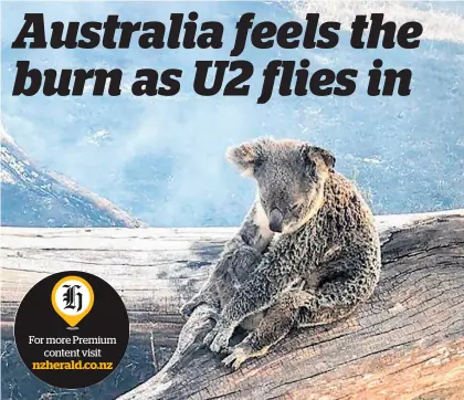  ?? Photo / Supplied ?? For more Premium content visit nzherald.co.nz
A koala and its joey were rescued after fires.