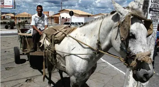  ?? Mario Bittencour­t/Folhapress ?? Carroceiro em Vitória da Conquista (BA); nova lei municipal exige fralda para os cavalos, habilitaçã­o para condutores e licenciame­nto de carroça