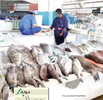  ??  ?? سوق السمك المركزي في جدة.