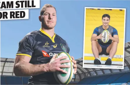  ??  ?? GETTING CLOSER: David Pocock is nearing selection for the Wallabies’ World Cup squad and (inset) Jordan Petaia.