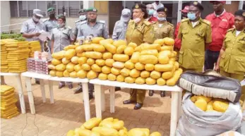  ?? Photo: Peter Moses Sativa ?? Nigeria Customs Service (NCS), Ogun Area Command seized 3,165 wraps of Cannabis in Ogun