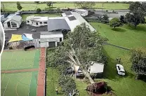  ?? KELLY HODEL/ STUFF ?? A tornado uprooted a large oak tree at Orini Combined School in Waikato.
