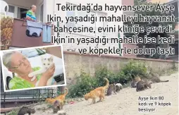  ??  ?? Ayşe Ikin 80 kedi ve 9 köpek besliyor.