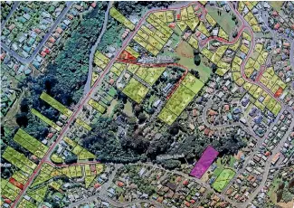  ??  ?? Map showing the Bain family home (purple) on Every St Dunedin and the route David took on his paper run (red line) .