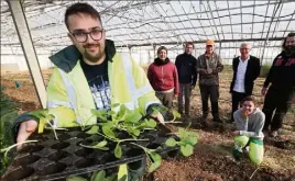  ?? (Photos Luc Boutria ) ?? Six employés de l’Esat Les palmiers travaillen­t au sein du potager bio implanté près de l’établissem­ent Les Myosotis à La Crau où ils sont encadrés par leur éducateur Stéphane.