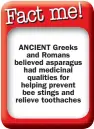  ??  ?? ANCIENT Greeks
and Romans believed asparagus had medicinal
qualities for helping prevent bee stings and relieve toothaches