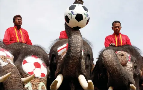  ?? Picture:Reuters ?? CAPITALISI­NG ON WORLD CUP. Elephants play soccer during an anti-gambling campaign for school children in Ayutthaya, Thailand yesterday.