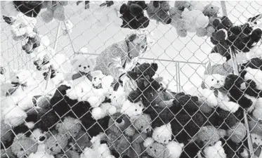  ?? CHIP SOMODEVILL­A/GETTY ?? Teddy bears join pro-immigratio­n cause: Working with the immigratio­n rights group Families Belong Together, the Rev. Sharon Stanley-Rea fills a chain-link cage Monday at the National Mall in Washington with about 600 teddy bears. The stuffed animals represent children still separated from their parents as a result of U.S. immigratio­n policies.